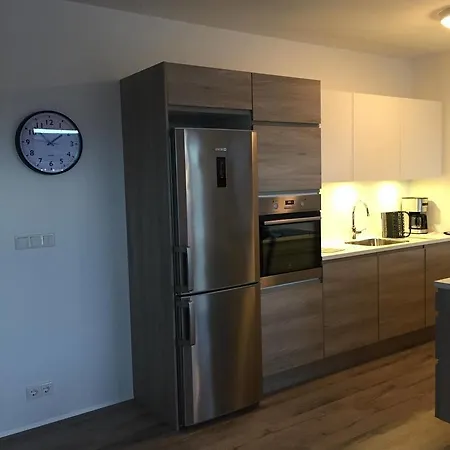 Central Premium Luxury Apartments * Reykjavik